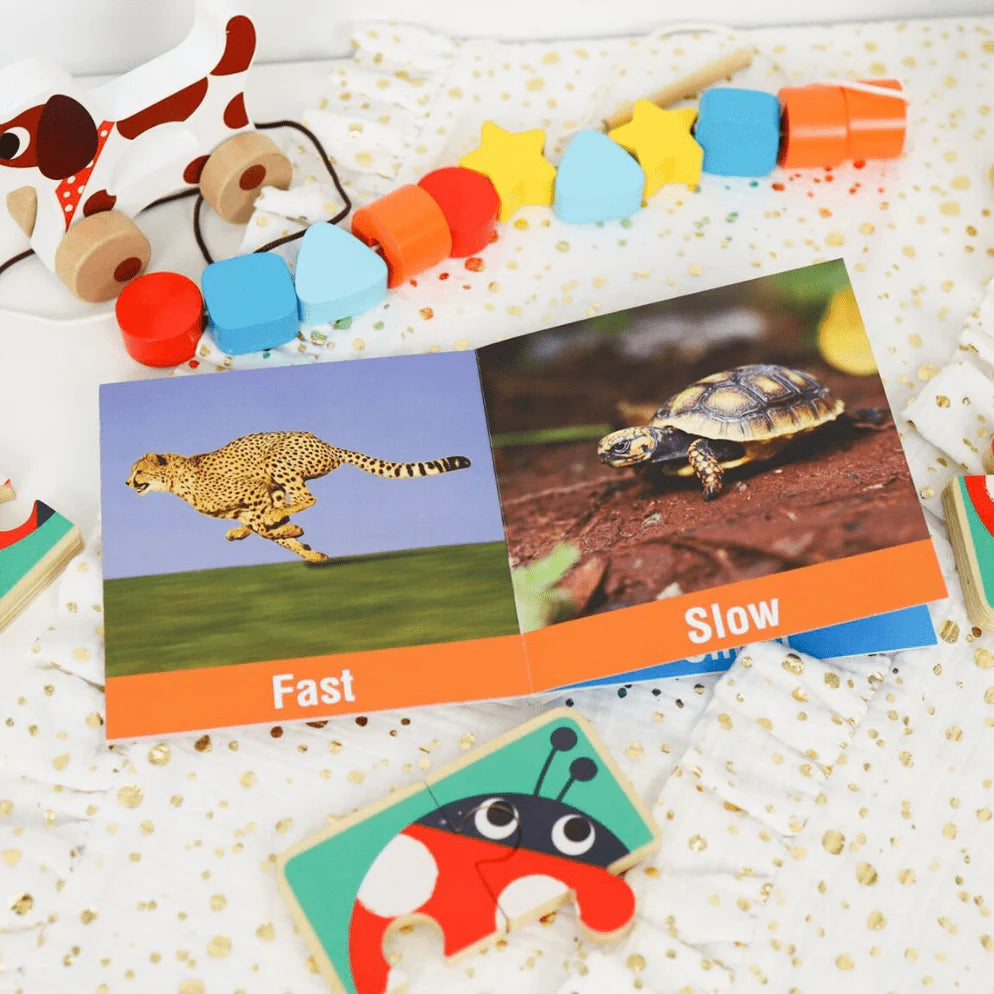 MiniMind Bundle - Educational Box 19-24 Months
