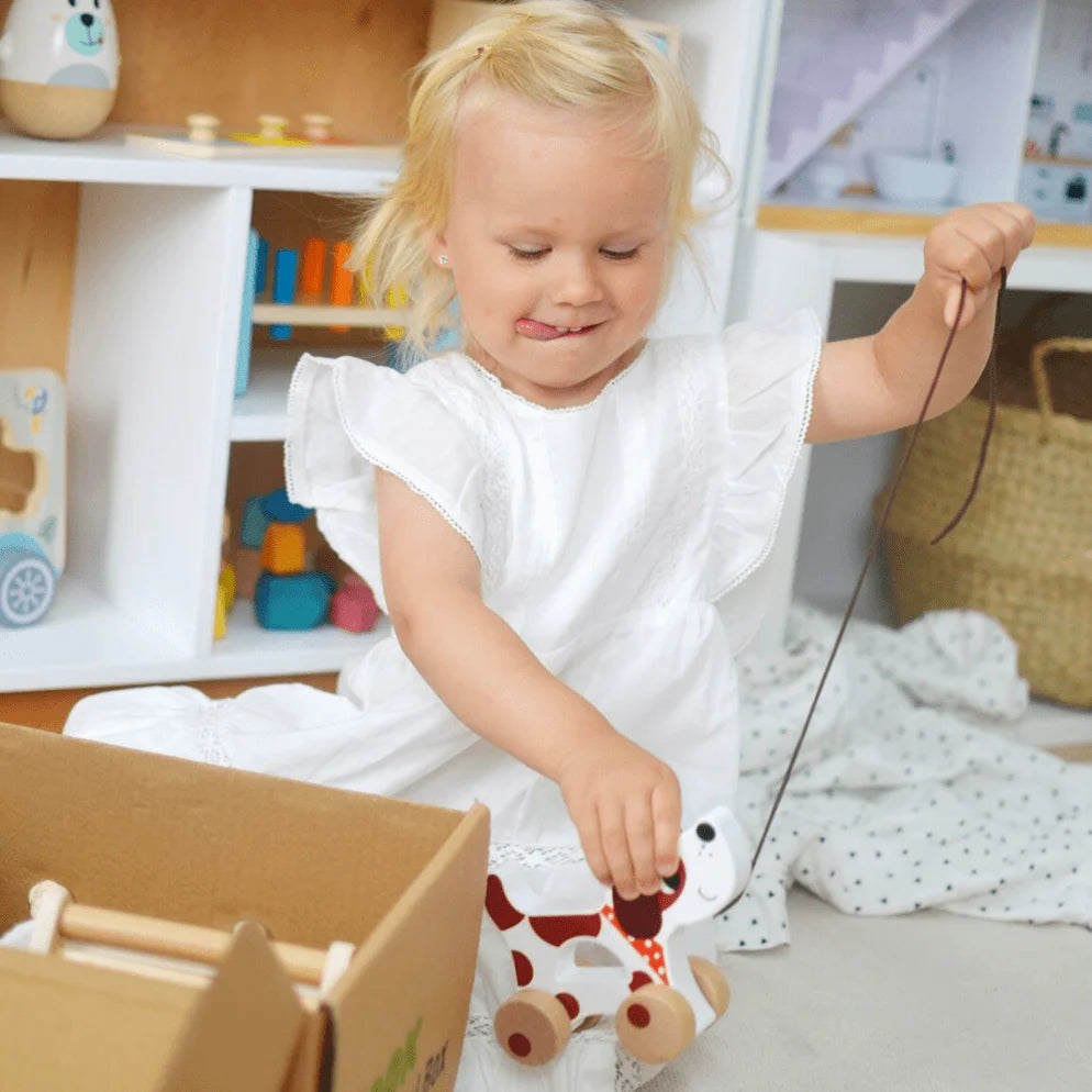 MiniMind Bundle - Educational Box 19-24 Months