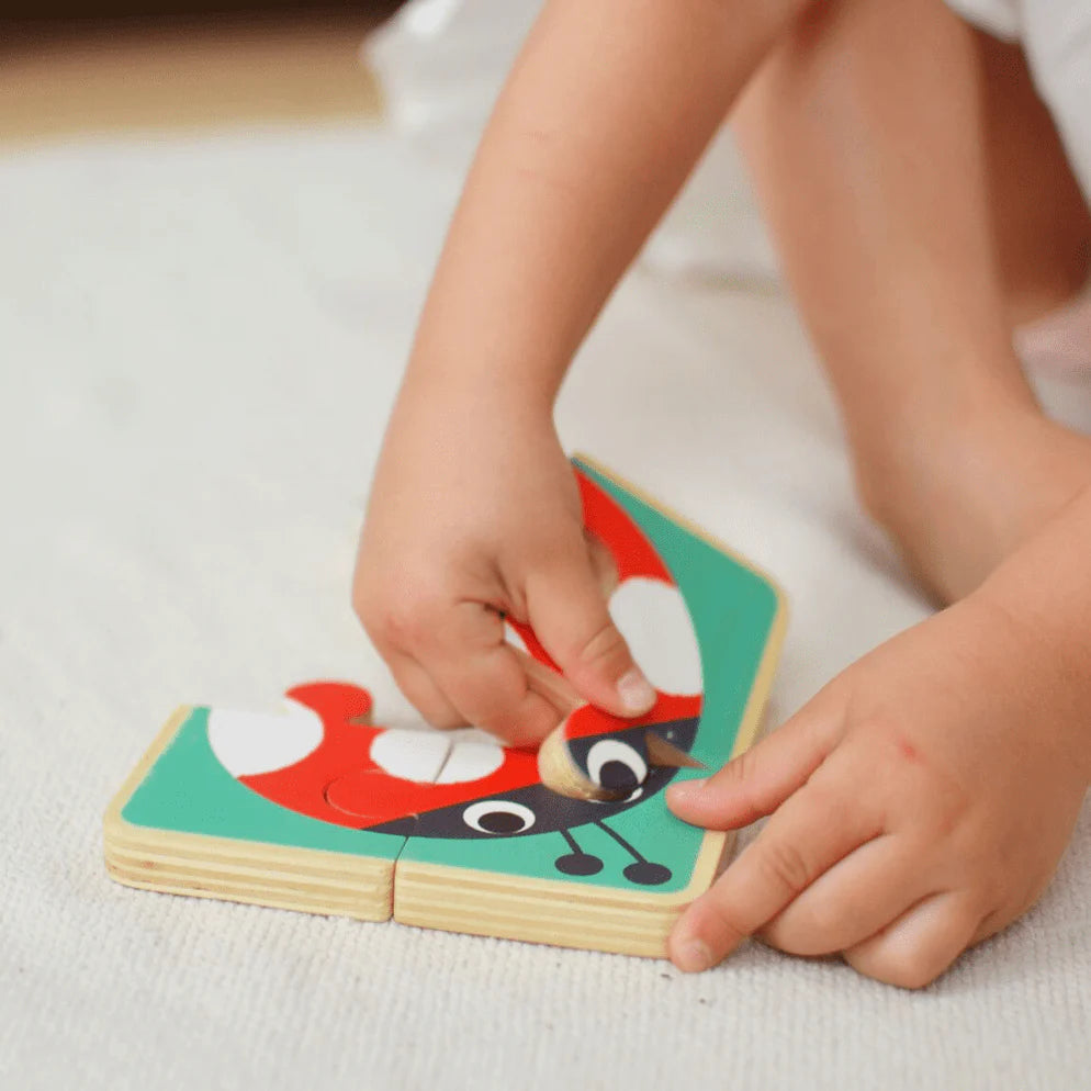 MiniMind Bundle - Educational Box 19-24 Months