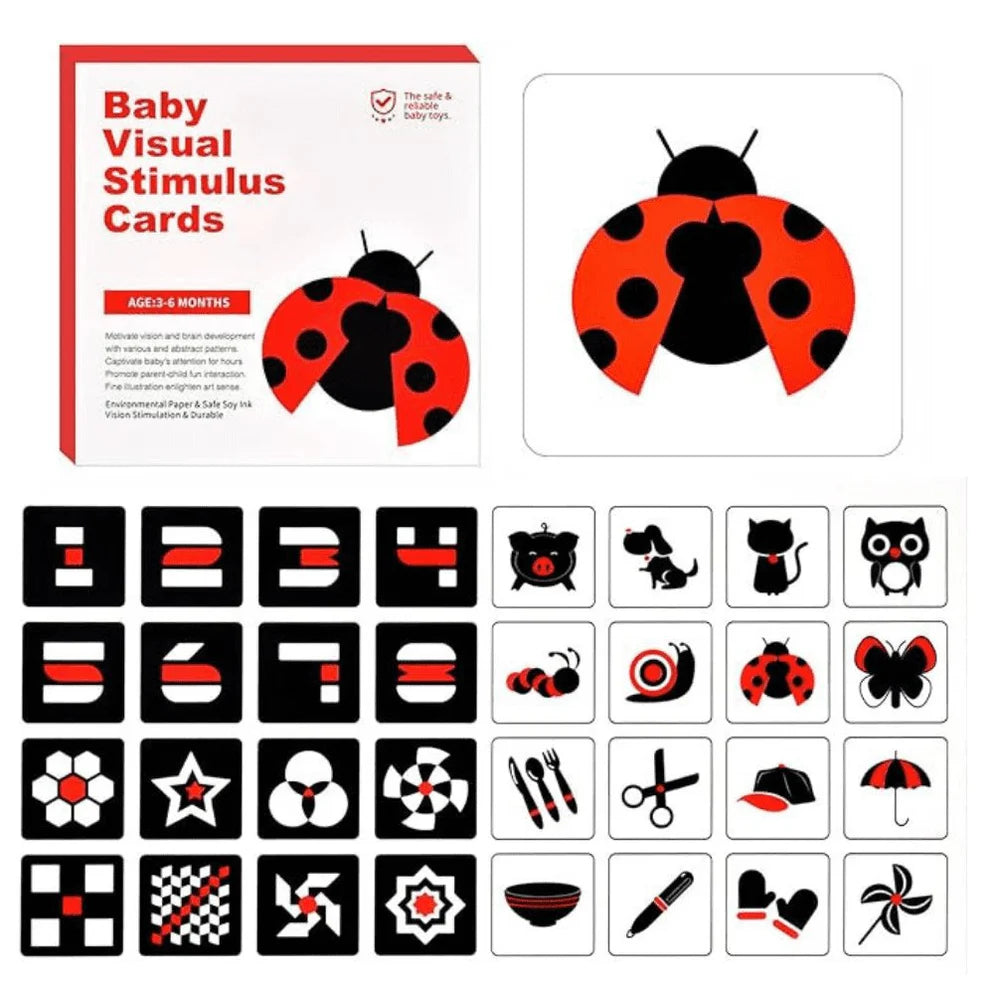 MiniMind - Flash Cards 0-36 Months