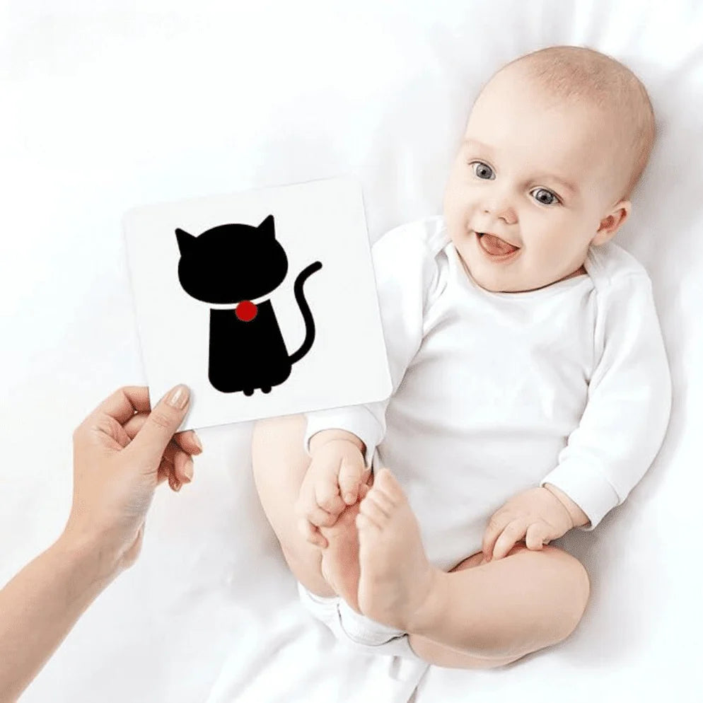MiniMind - Flash Cards 0-36 Months